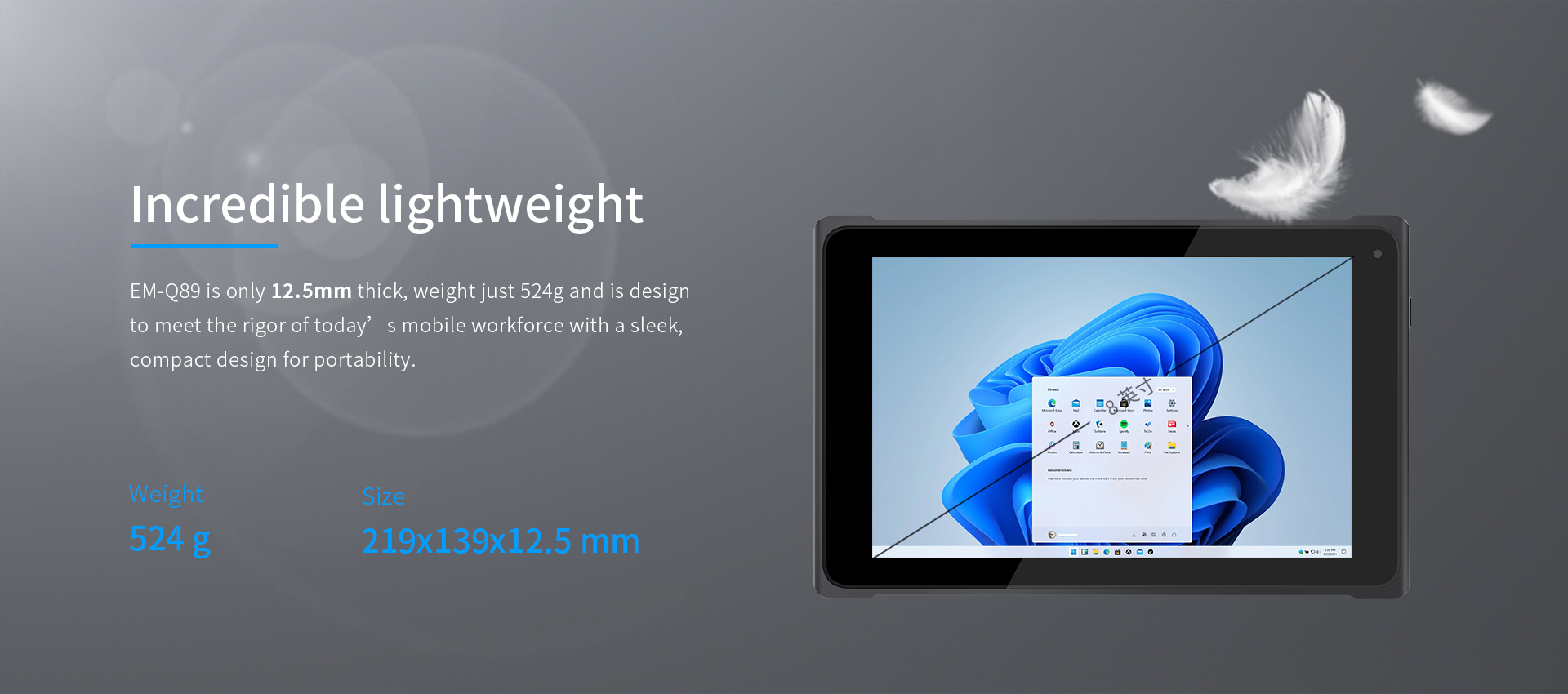 EM-Q89 8 Inch 2.4GHz Rugged Tablet