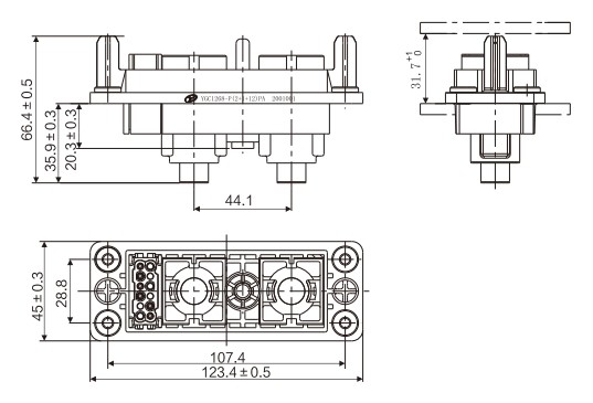 YGC1268-S (2+1+12) R Plug.jpg